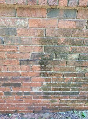 Brick Cleaning